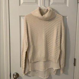 The Limited Turtleneck Sweater